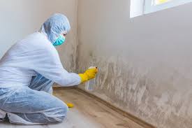 Best Mold Prevention Services in Sierra View, PA