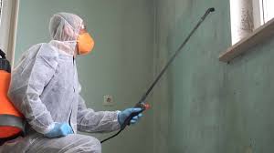 Why You Should Choose Our Mold Remediation Services in Sierra View, PA