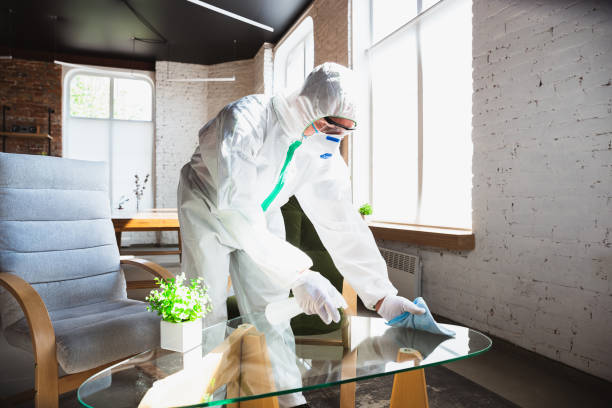 Best Commercial Mold Inspection in Sierra View, PA